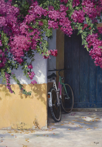 Bicicleta a la sombra